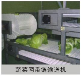 蔬菜网带链输送机