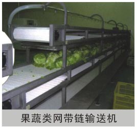 果蔬类网带链输送机 